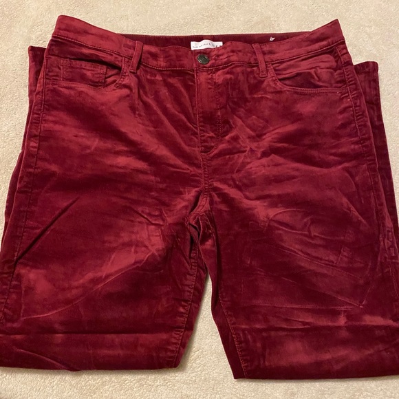Loft velvet type regular length pants - Picture 1 of 2